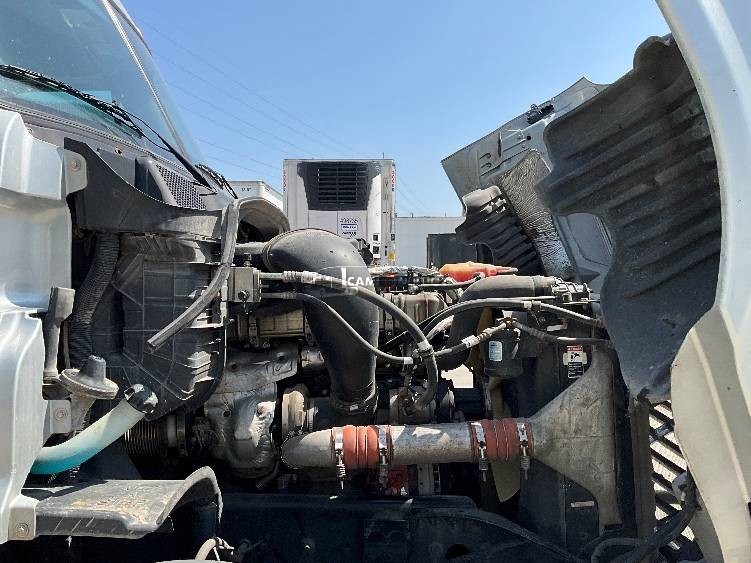 Truck Thumbnail 10